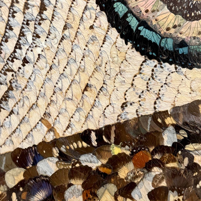 Sculpture Materials Vintage Abstract Folk Art Collage Composition in Butterfly Wings, Framed For Sale - Image 7 of 9