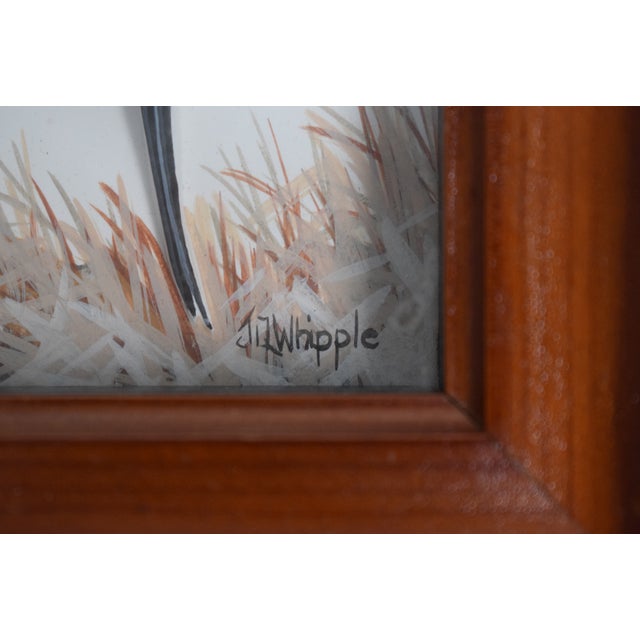 Traditional Abercrombie & Fitch X Joseph Q. Whipple Hand Painted Pintail Duck Shadowbox For Sale - Image 3 of 3