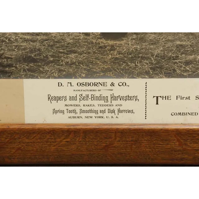 Late 19th Century 1890s an Osborne Special Photo, Framed For Sale - Image 5 of 7