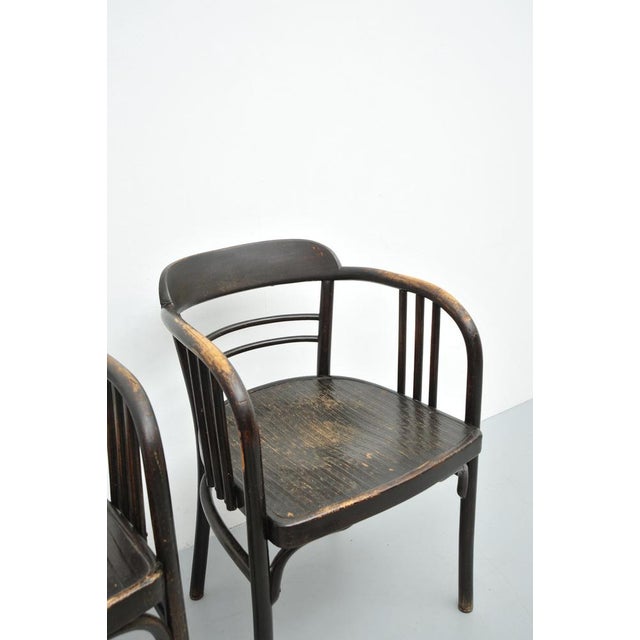 Set of Model 6093 Chairs in Beech by Jacob & Josef Kohn, Vienna, Austria, 1890s For Sale - Image 11 of 18