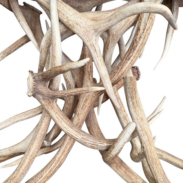Elk Antler Console Table With Leather Top For Sale - Image 14 of 17