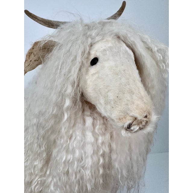 Sheep Sculpture, Handcrafted by New Mexico Artist Ray Growler For Sale - Image 10 of 14