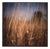 Paul Cooklin, Wild Grass, Suffolk, Edition of 50 For Sale