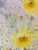 Yellow 20 Th C Original Oil on Board Sunflower Painting For Sale - Image 8 of 8