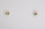 Shell Wall Sconces in Glass and Brass, Italy, 1970s, Set of 2 For Sale - Image 6 of 7