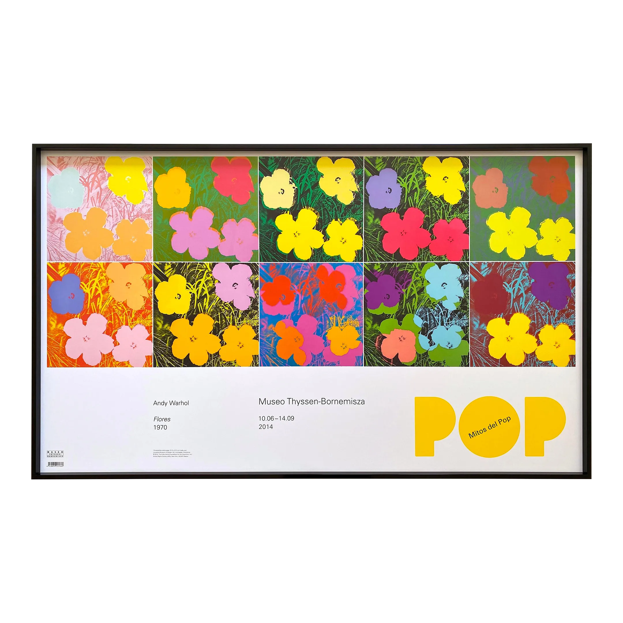 Andy Warhol Foundation Offset Lithograph Print Framed Large Pop