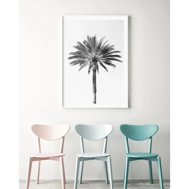'Palm Tree' Art Print, Large Contemporary Minimalist Black and White Fine Art Photograph, Tropical Coastal Wall Art, 24 X 36" Photography Print For Sale In Boston - Image 6 of 8