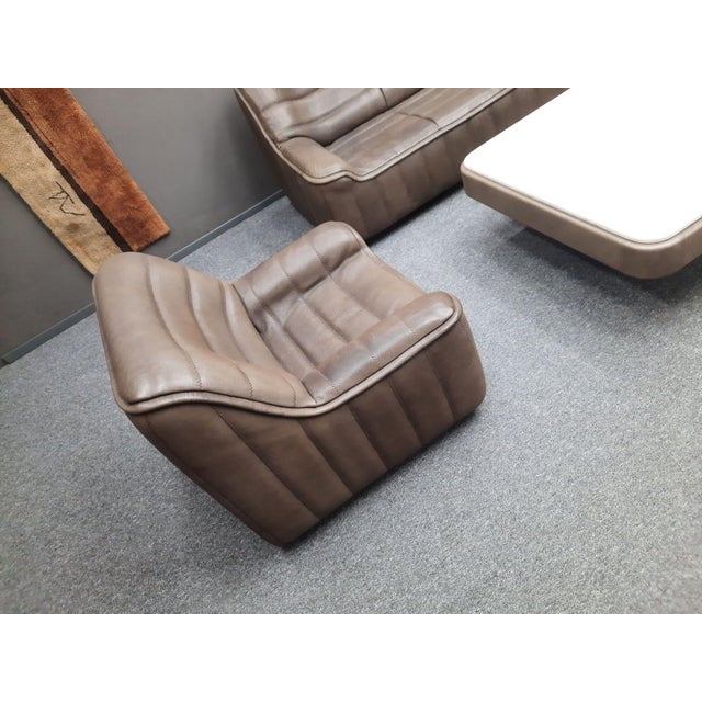 Brown DS 84 Seating in Buffalo Leather from de Sede, 1970s, Set of 4 For Sale - Image 8 of 15