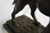 20th-Century French Dark Brown Bronze Dog Sculpture For Sale - Image 5 of 6