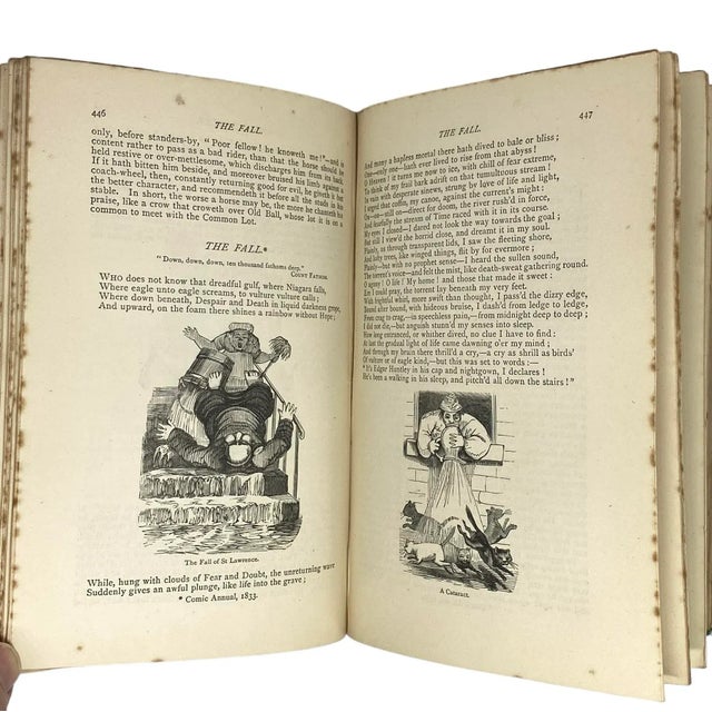 1876 The Choice Works of Thomas Hood, in Prose and Verse Including the Cream of the Comic Annuals Book For Sale - Image 10 of 12