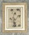 Framed Botanical Drawing With Gold Detailing For Sale In West Palm - Image 6 of 14