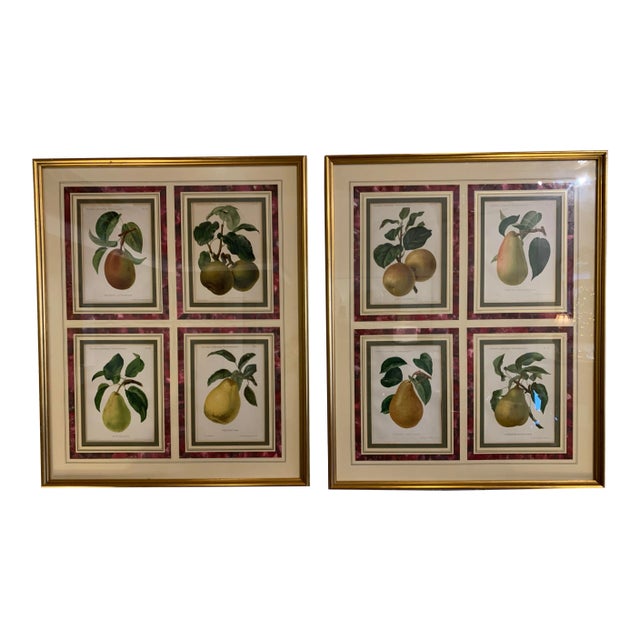 Late 19th Century Eight Hand Colored Botanical Prints, Framed - Set of 2 For Sale