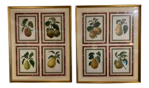 Late 19th Century Eight Hand Colored Botanical Prints, Framed - Set of 2