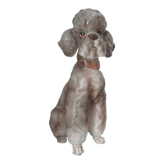 Vintage Shafford Kennel Club Poodle For Sale