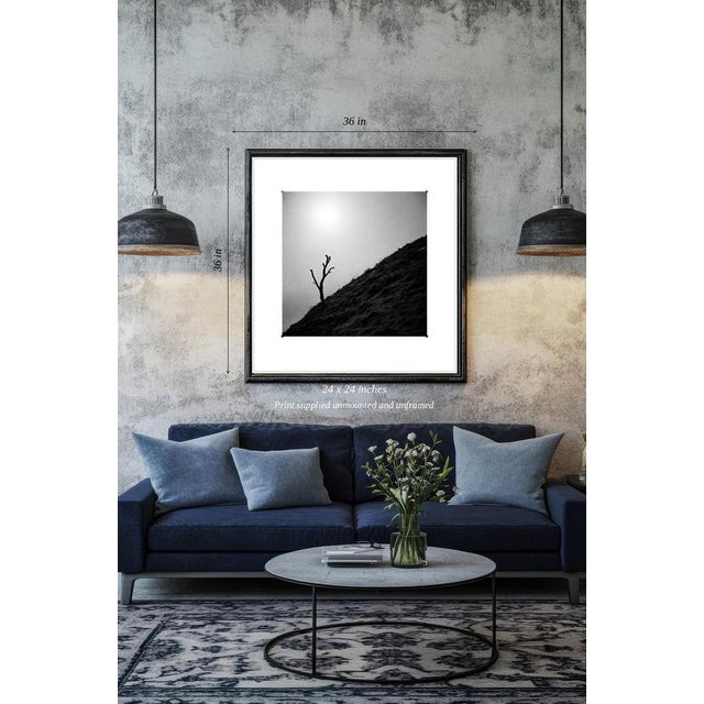 Fine art Giclee prints on Hahnemuhle Photo Rag 308gsm - a 100% cotton, acid-free, mould-made paper. Printed to Fine Art...