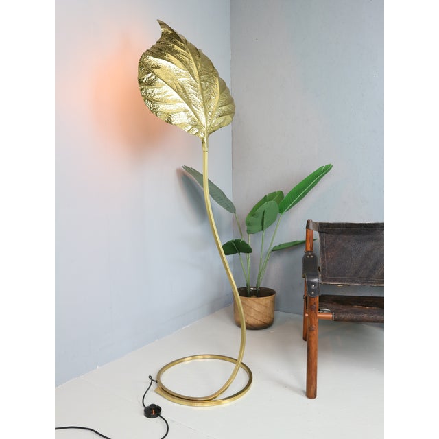 Vintage Rhubarb Floor Lamp by Tommaso Barbi for Bottega Gadda, 1970 For Sale - Image 3 of 15