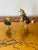 1970s Cute Pair of Wild Animals Racoon & Wolf Figurines Lamp Finials For Sale - Image 4 of 4