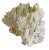 Large natural nautical coastal ocean coral specimen. No maker's mark. Sourced with an in-depth understanding of the...