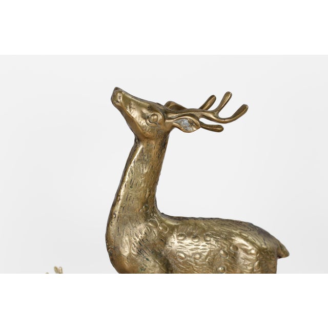 Mid-Century Brass Deer Family, Set of 4 | Large Stag and Fawns For Sale In Lexington, KY - Image 6 of 15