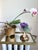 Vintage 1970s Brass Lotus-Shaped Gardinere/Planter For Sale - Image 16 of 16