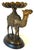 Bronze Large Vintage Bronze Figural Camel Sculpture Figurine Centerpiece 25lbs! For Sale - Image 8 of 13