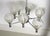 Modern Mid-Century Space Age Sputnik 8-Light Chandelier in Chrome and Faceted Glass Globes, 1970s For Sale - Image 3 of 15
