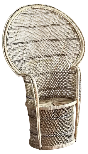Wicker Peacock Chair, 2000s