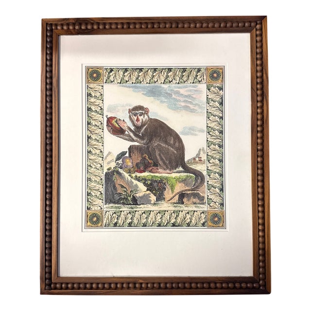 Antique Print Hand Colored Lithograph Framed Monkey and Pomegranate 22.4” X 18.4” For Sale