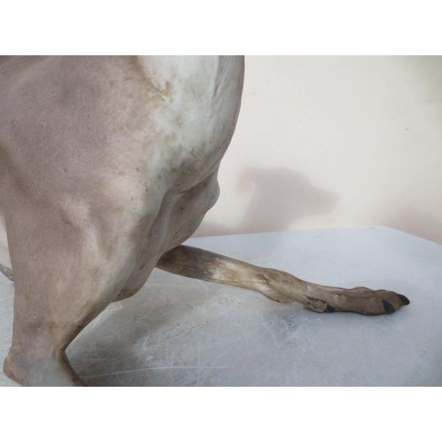 Life Size Antique French Porcelain Grey Hound 1867 ( 159 Years Old) For Sale - Image 15 of 16