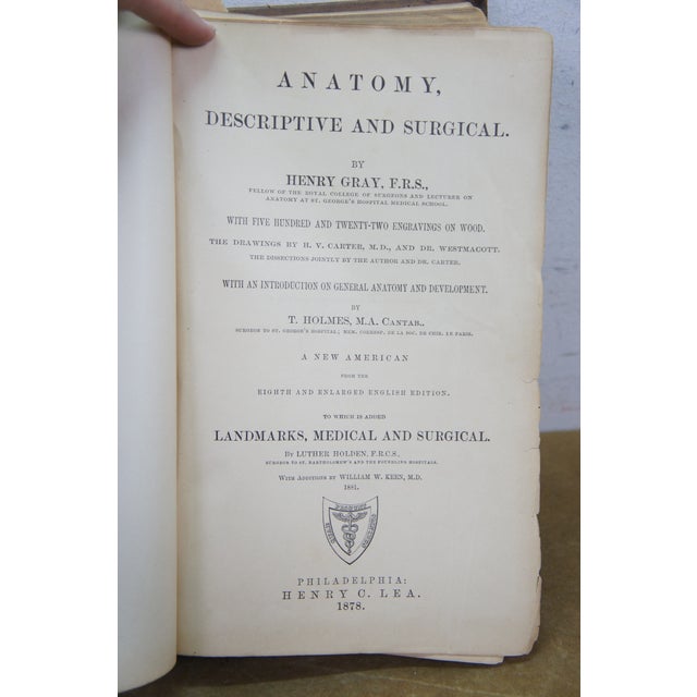Late 19th Century Antique 1878 Grays Anatomy Descriptive Surgical Medical Book Henry C Lea Leather For Sale - Image 5 of 16