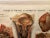 Genito-Urinary Anatomical Chart, Paper on Canvas, 1922 For Sale - Image 13 of 16