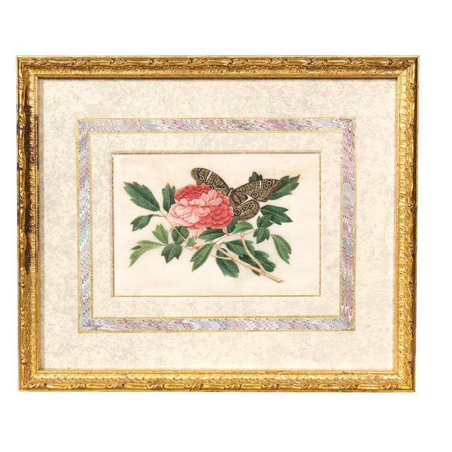 Set of Four Chinese Export Framed Pith Paper Watercolors of Plants and Insects For Sale - Image 4 of 10