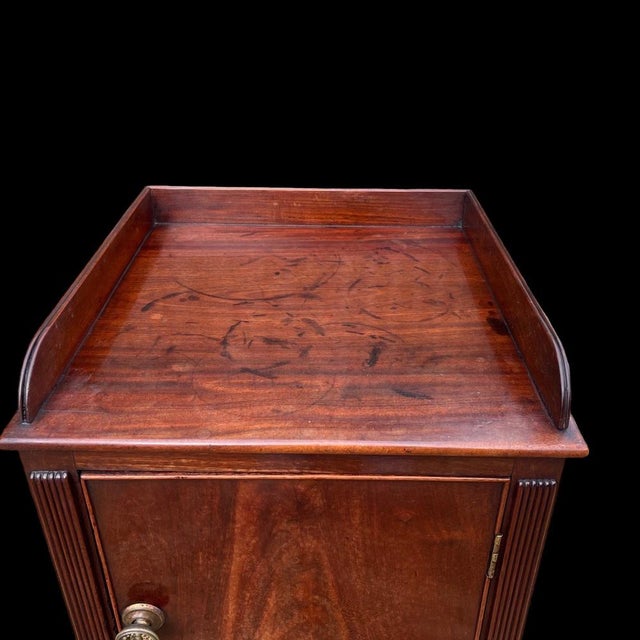 Antique Regency Mahogany Bedside Cupboard, 1820 For Sale - Image 6 of 12