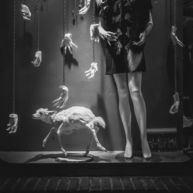 All prints are produced to order. Lead times between 5-10 days. "williamsburg window, brooklyn ny" by morgan silk is a...