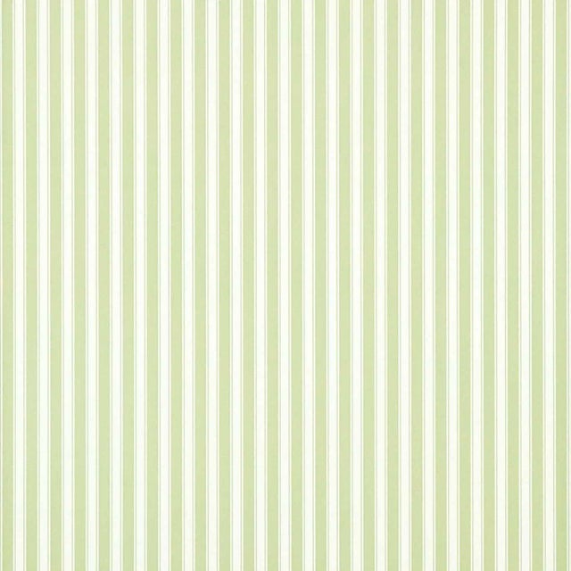 Sanderson New Tiger Stripe Wallpaper in Leaf Green/ Ivory - a Sample For Sale