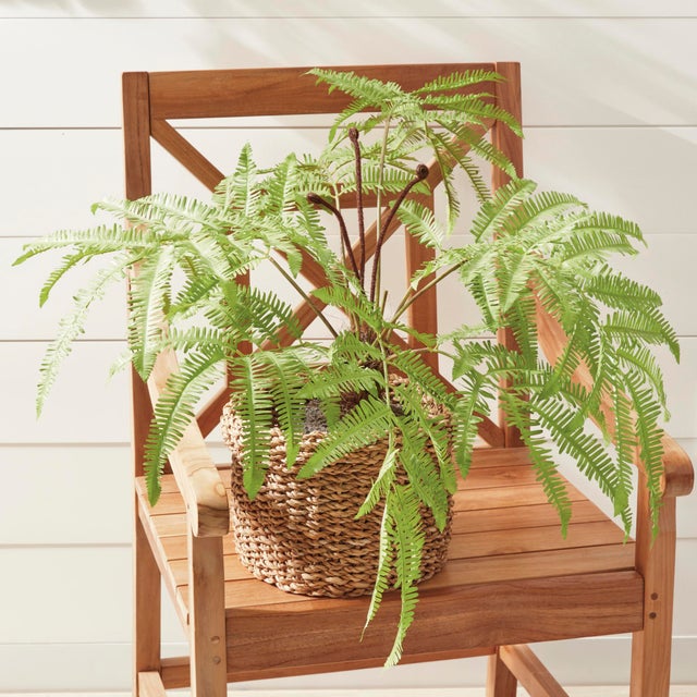 Realism Forest Fern Drop-In 29.5" For Sale - Image 3 of 5