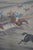 1900 - 1909 Vintage Hand Painted Horse Racing Engraving in Frame For Sale - Image 5 of 10