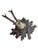 Roe deer trophy with oak leaves and acorns.