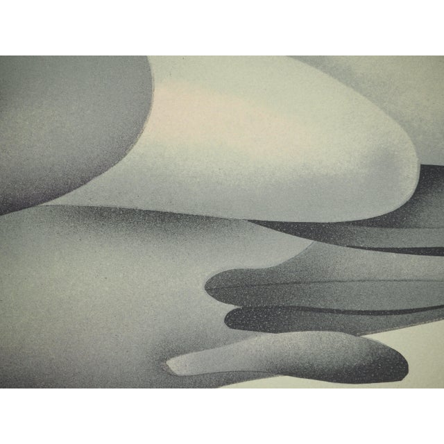 Jean-Paul Donadini, Le cygne assoupi, Lithograph For Sale - Image 5 of 8
