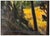 Impressionist 1990s The Road Less Traveled, Buckeye James C. Blake For Sale - Image 3 of 5