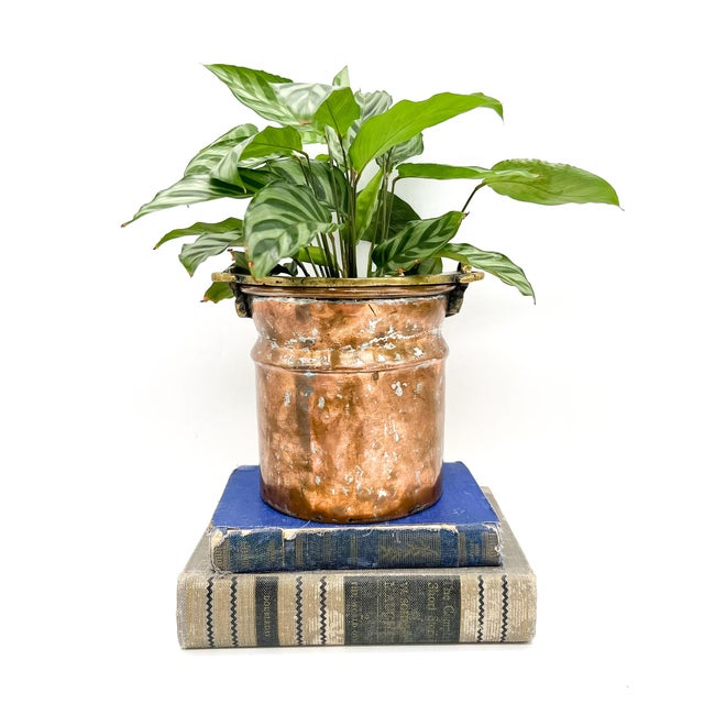 Charming, mid to late 20th century copper vessel with a single brass swing handle. The copper has developed a nicely...