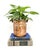 Charming, mid to late 20th century copper vessel with a single brass swing handle. The copper has developed a nicely...