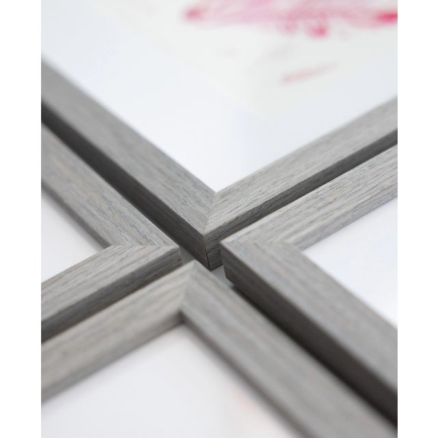 Custom Framed British Seaweed Giclée Prints - Set of Four For Sale - Image 12 of 13