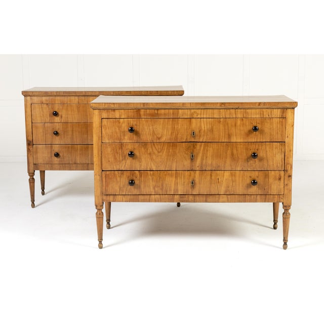 Early 19th Century Italian Cherrywood Chests of Drawers, Set of 2 For Sale - Image 9 of 9