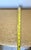 Gold Vintage Detecto Hamper With Lucite Handles For Sale - Image 8 of 10