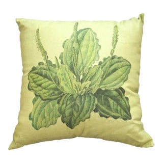 Beautiful Plantain Plant on Green Linen Pillow For Sale