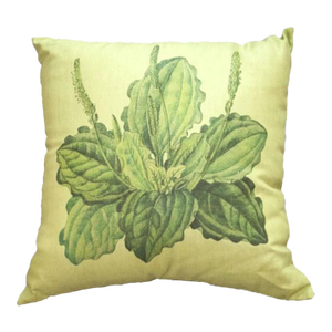 Beautiful Plantain Plant on Green Linen Pillow