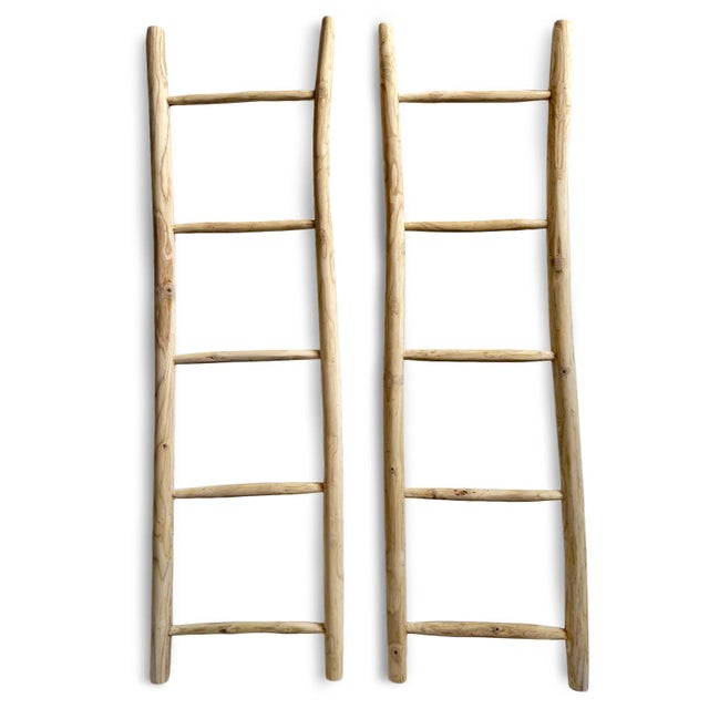 Contemporary Organic Modern Teak Raw Wood Display Ladder For Sale - Image 3 of 4