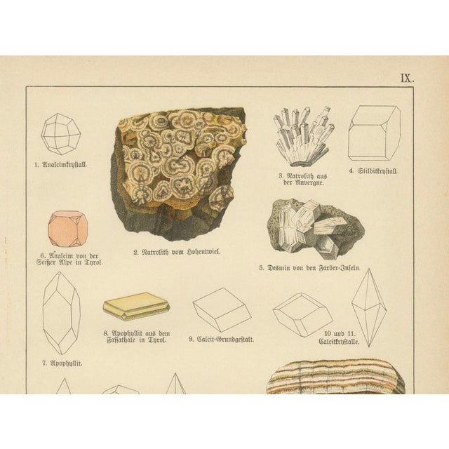 Antique Mineralogy Chromolithographs of Granite, Calcite and Fossil, 1888, Set of 2 For Sale - Image 6 of 12