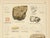 Antique Mineralogy Chromolithographs of Granite, Calcite and Fossil, 1888, Set of 2 For Sale - Image 6 of 12